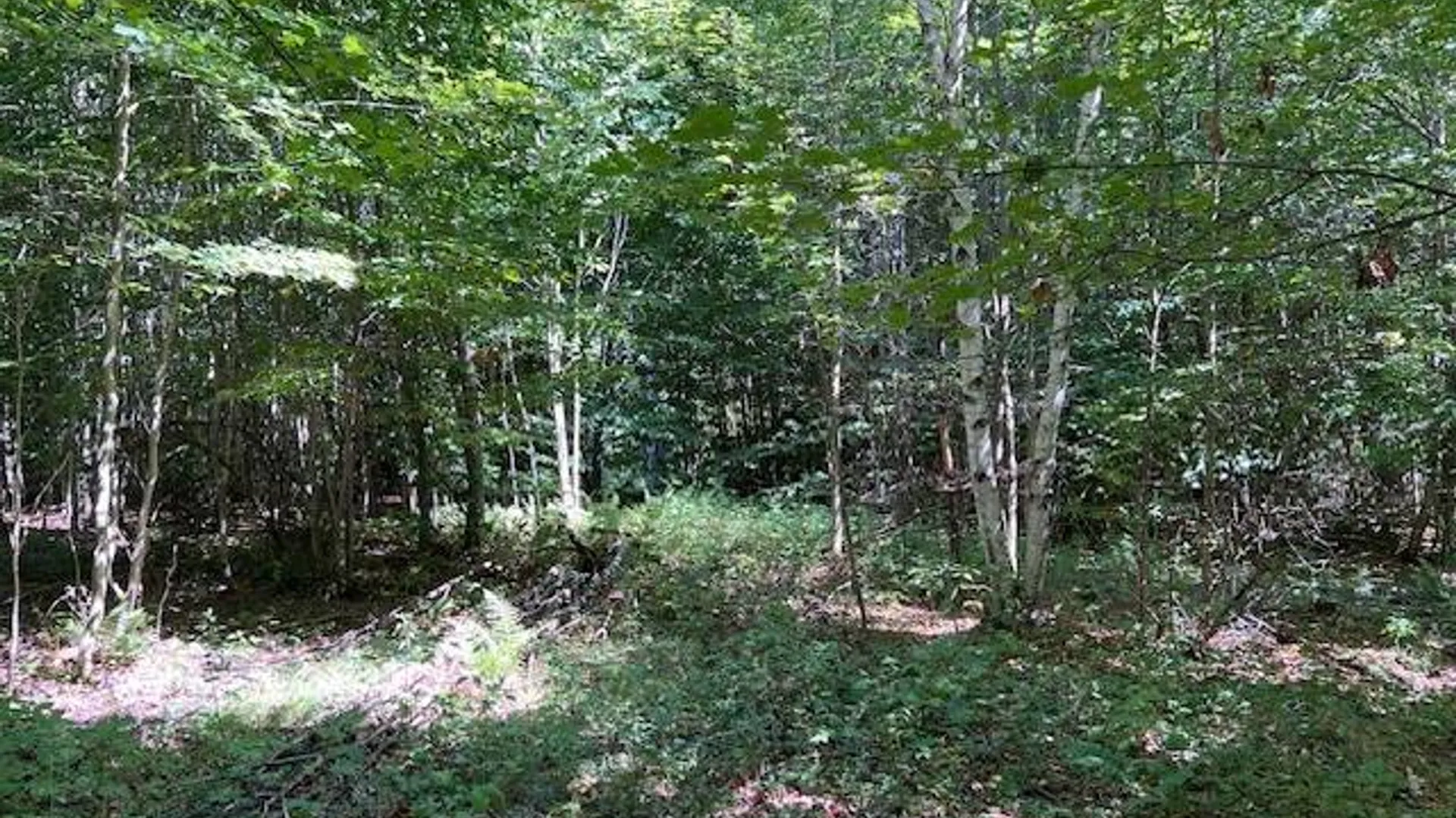 Property at 2070 North Road, Dolgeville, NY 13329 4