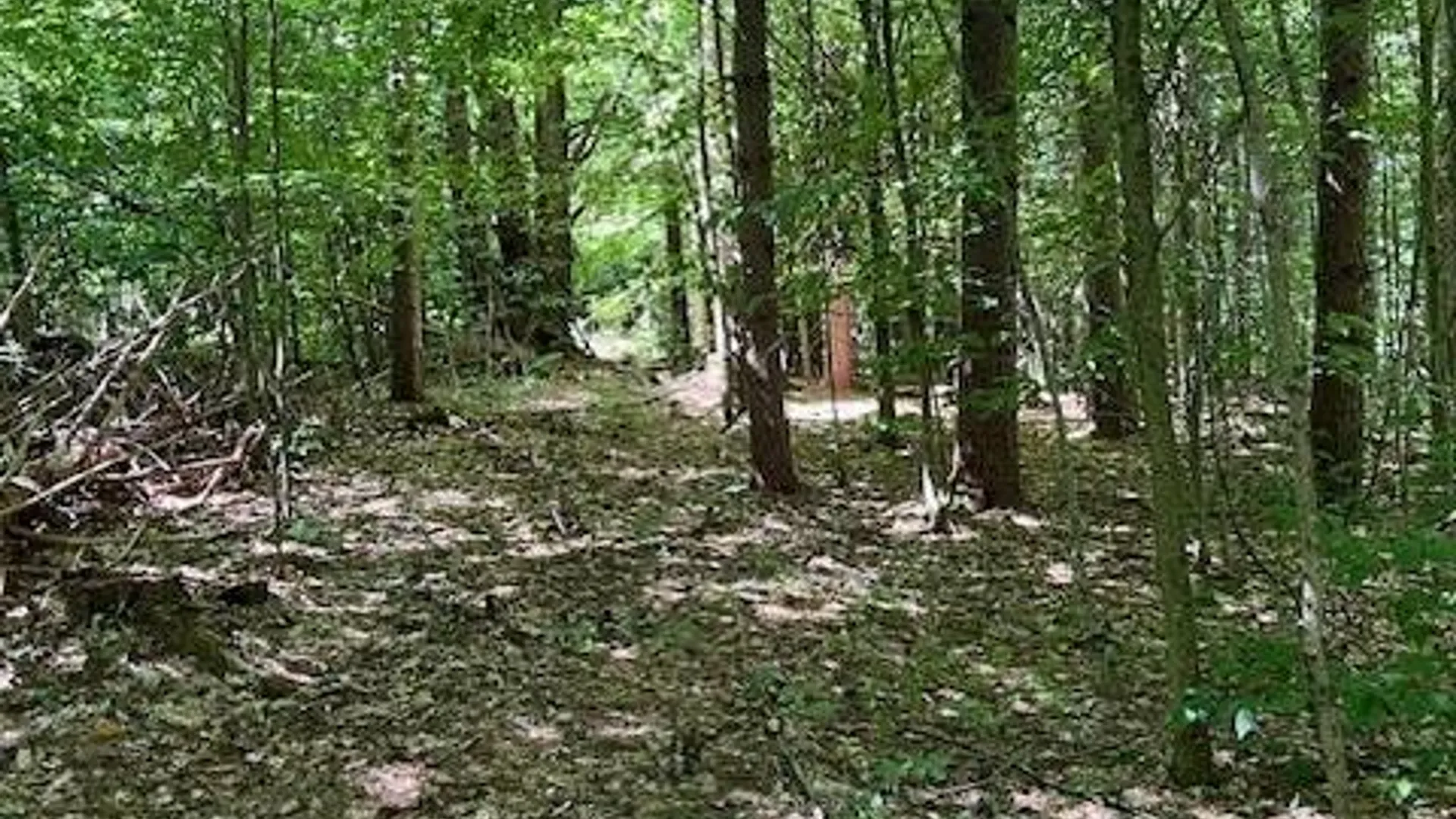 Property at 2070 North Road, Dolgeville, NY 13329 5