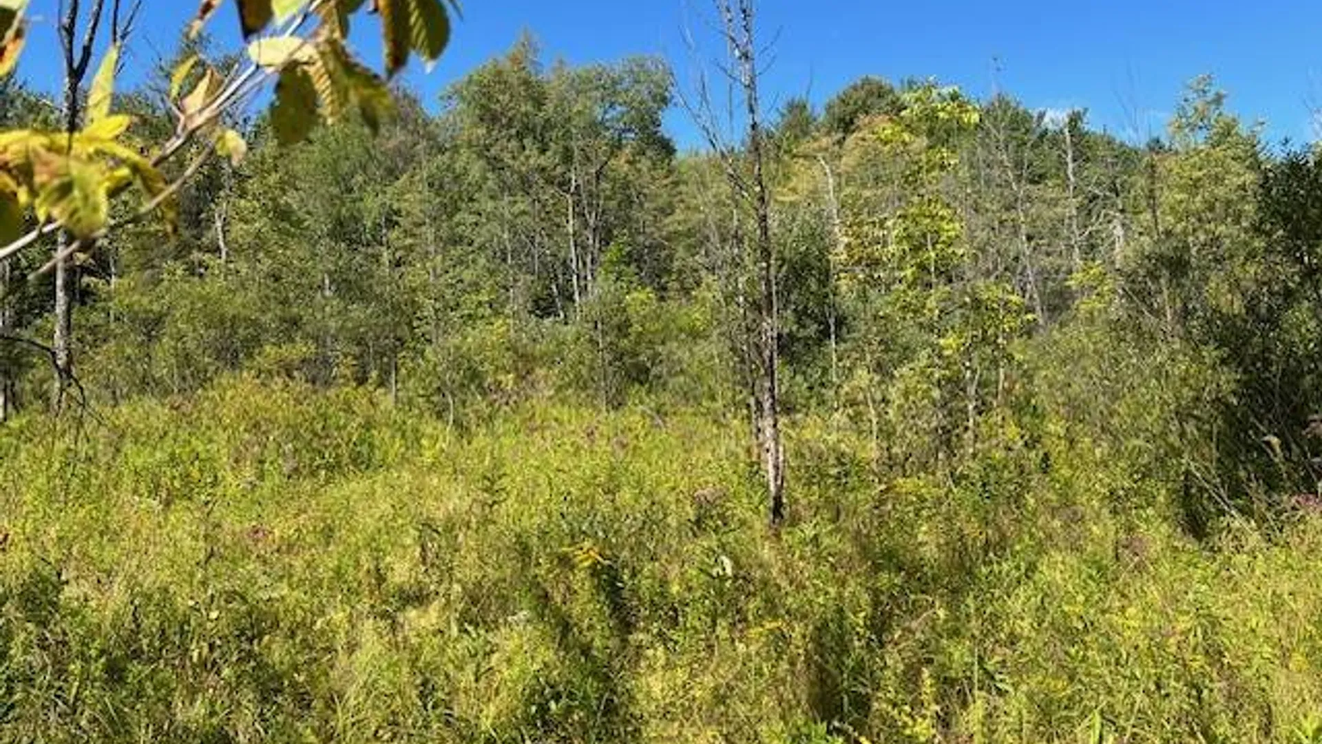 Property at 2070 North Road, Dolgeville, NY 13329 6