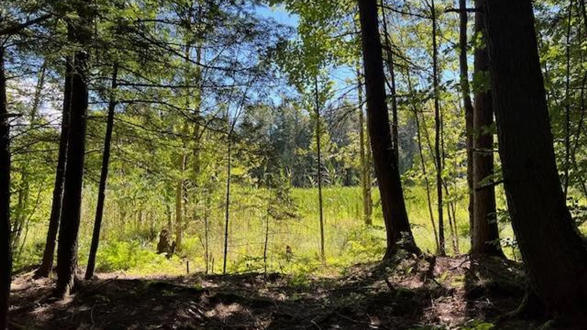 Property at 2070 North Road, Dolgeville, NY 13329 7