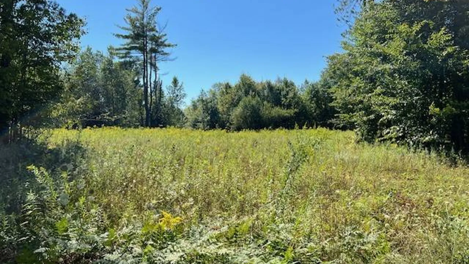 Property at 2070 North Road, Dolgeville, NY 13329 8