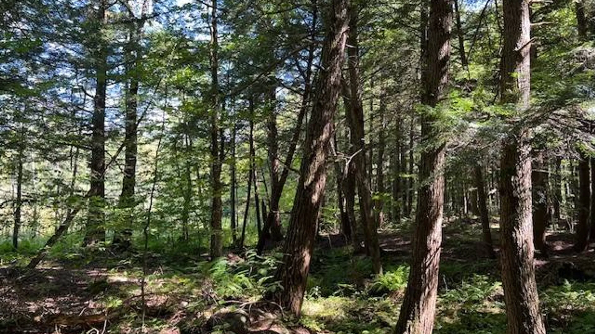 Property at 2070 North Road, Dolgeville, NY 13329 11