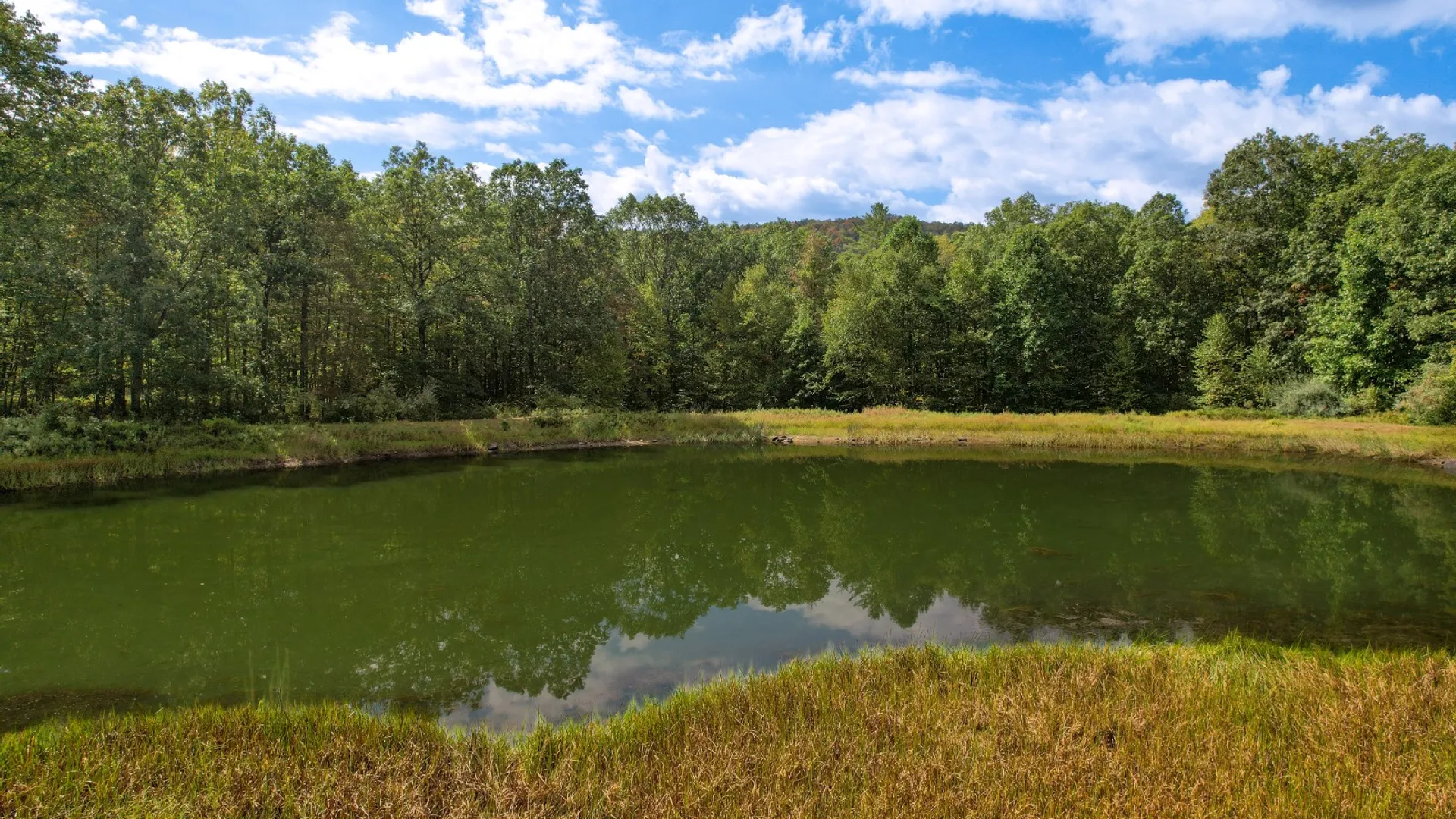 Property at 0 Pvt Off Warren Rd, Hancock, NY 13783 21