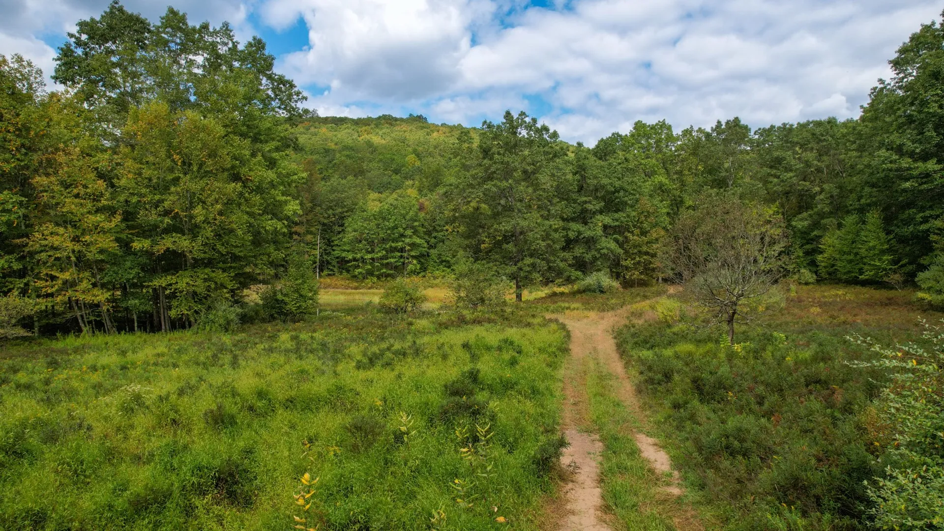 Property at 0 Pvt Off Warren Rd, Hancock, NY 13783 15