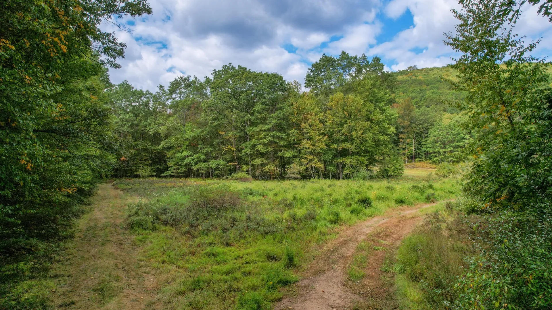 Property at 0 Pvt Off Warren Rd, Hancock, NY 13783 14