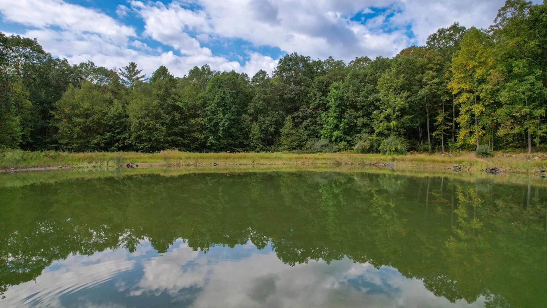 Property at 0 Pvt Off Warren Rd, Hancock, NY 13783 19