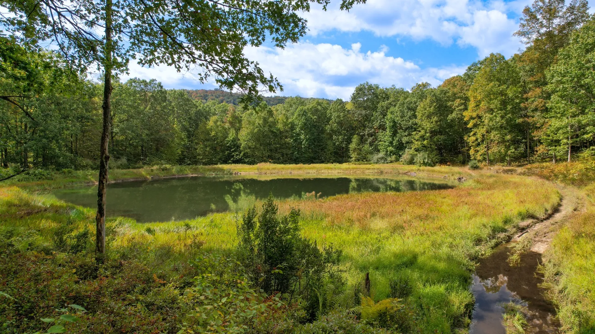 Property at 0 Pvt Off Warren Rd, Hancock, NY 13783 20
