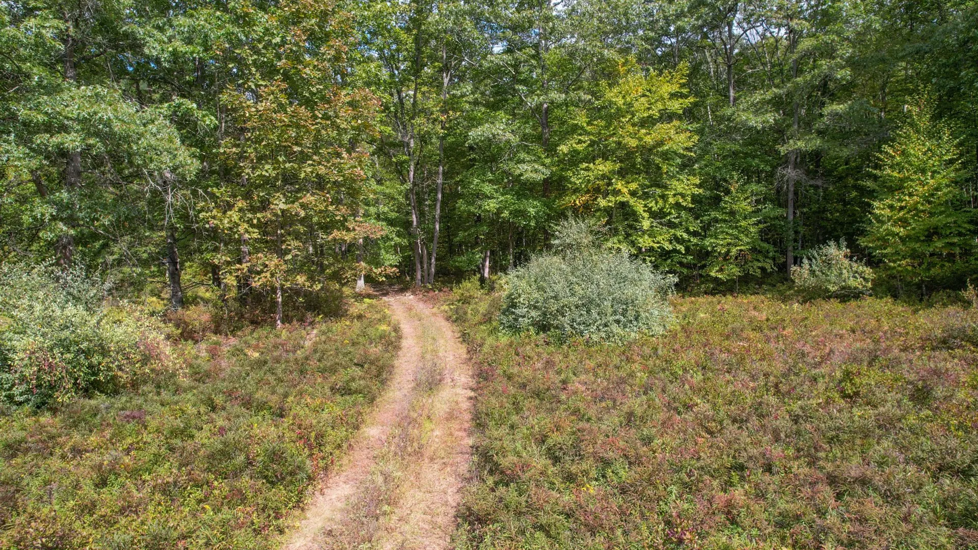 Property at 0 Pvt Off Warren Rd, Hancock, NY 13783 25