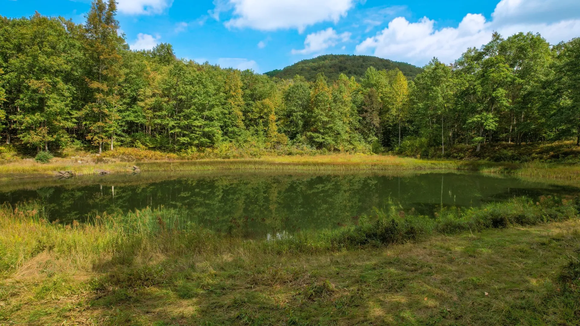 Property at 0 Pvt Off Warren Rd, Hancock, NY 13783 23