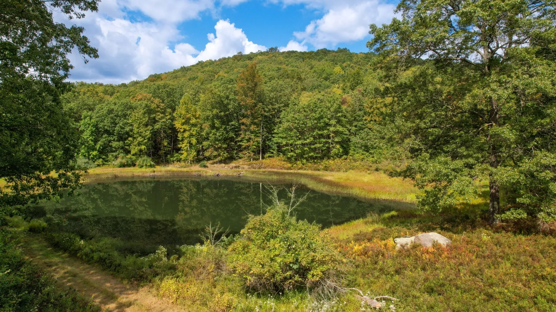 Property at 0 Pvt Off Warren Rd, Hancock, NY 13783 16