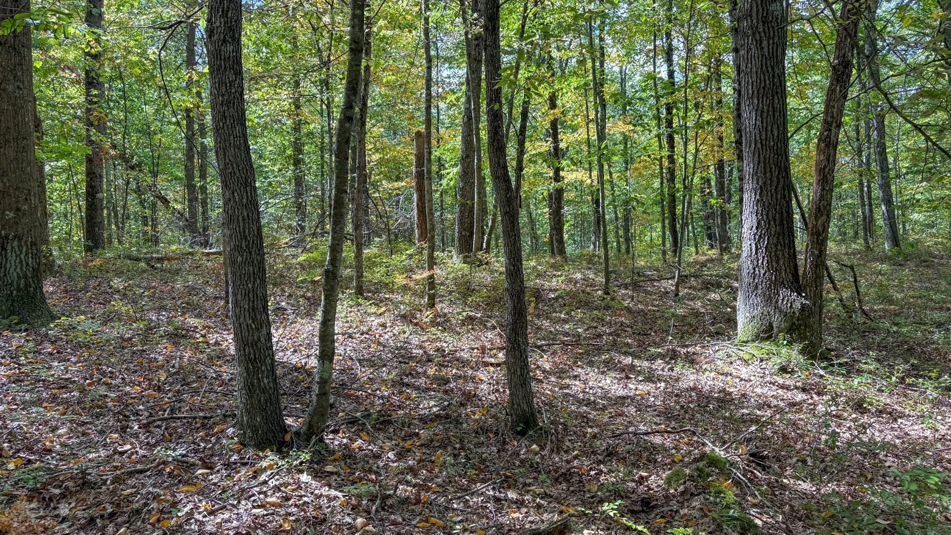 Property at 0 Pvt Off Warren Rd, Hancock, NY 13783 27