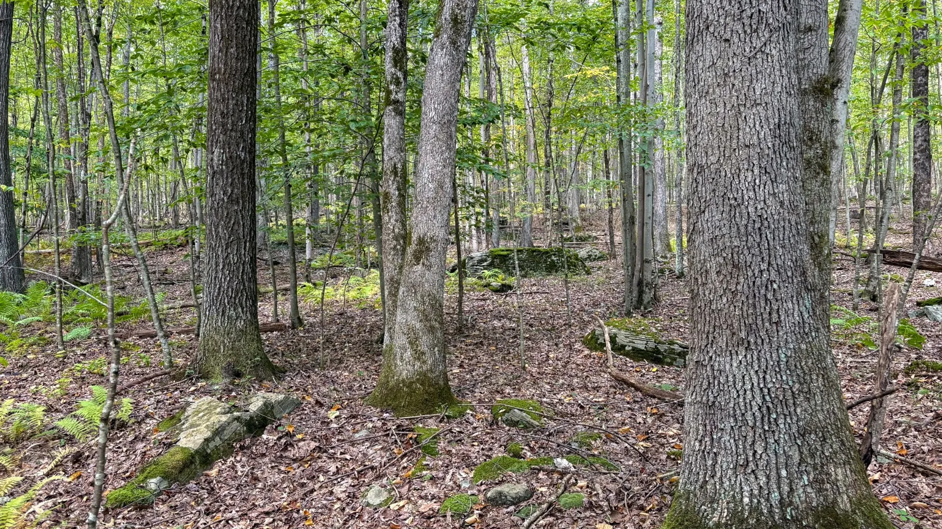 Property at 0 Pvt Off Warren Rd, Hancock, NY 13783 29