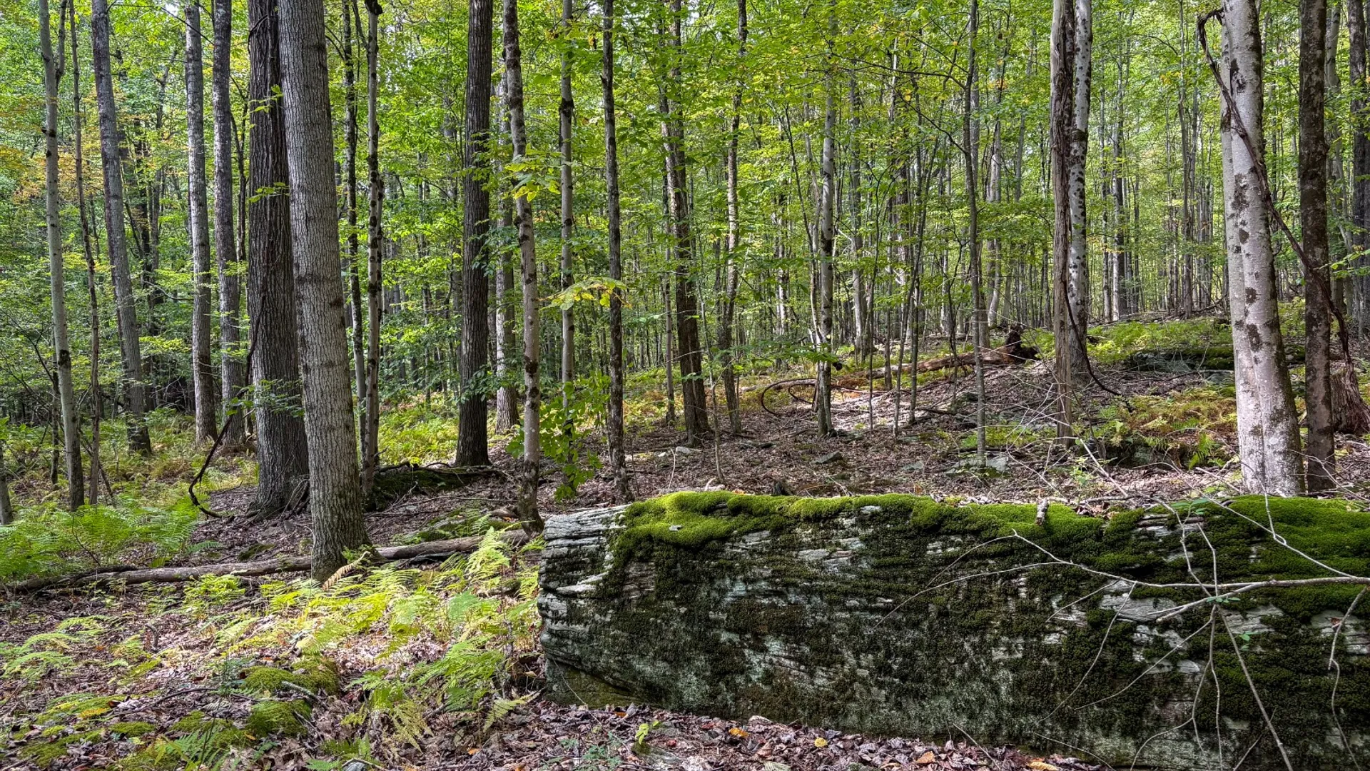 Property at 0 Pvt Off Warren Rd, Hancock, NY 13783 30