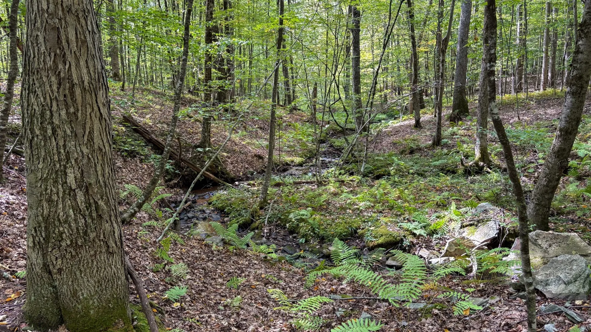 Property at 0 Pvt Off Warren Rd, Hancock, NY 13783 33