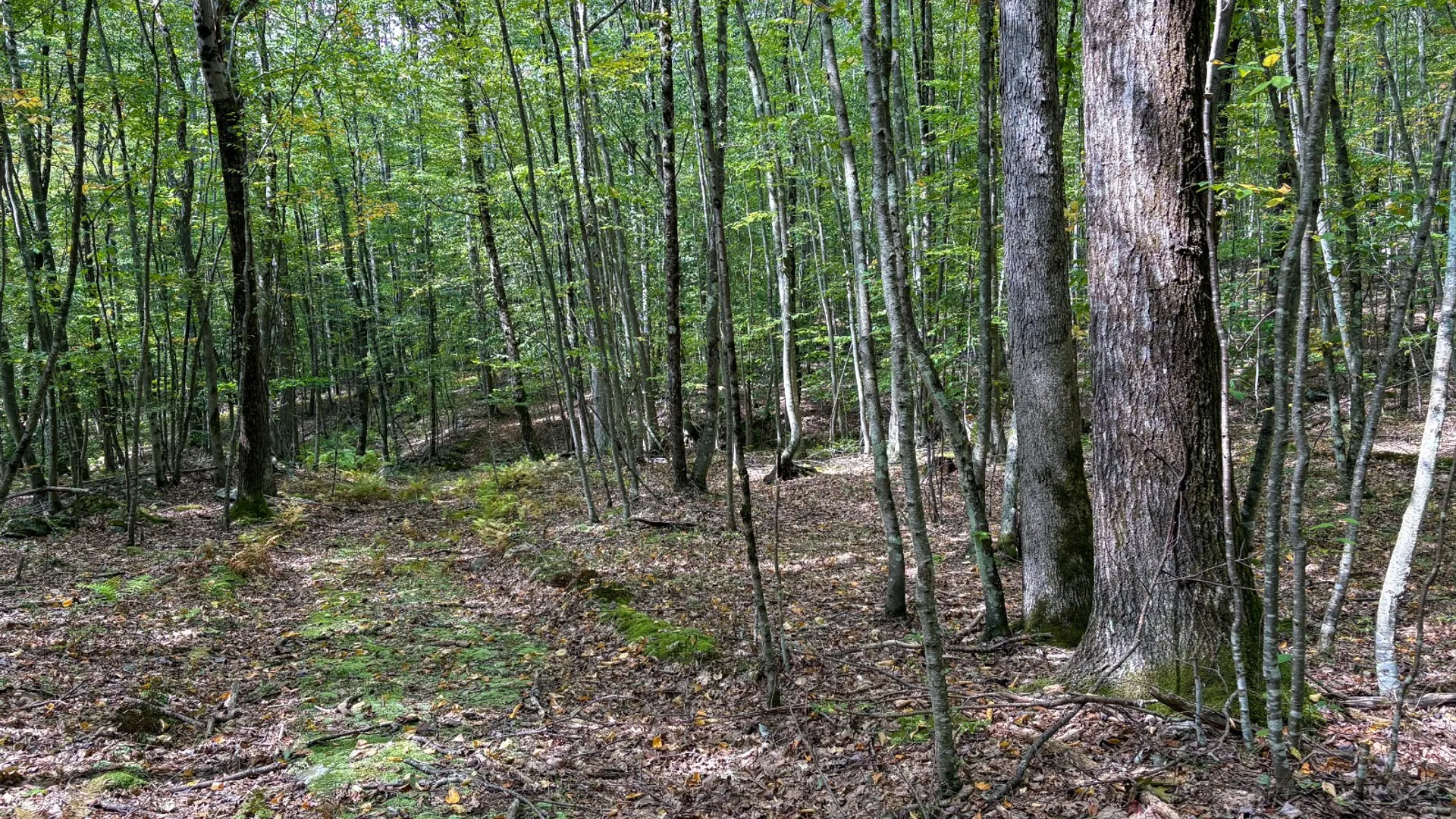 Property at 0 Pvt Off Warren Rd, Hancock, NY 13783 31