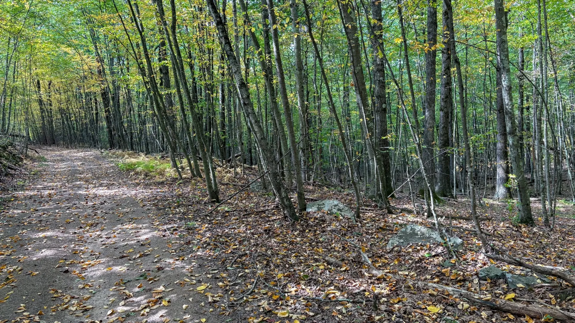 Property at 0 Pvt Off Warren Rd, Hancock, NY 13783 35