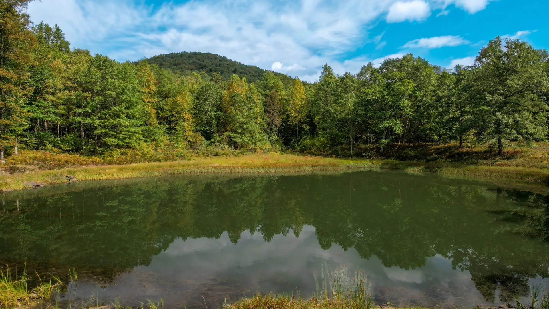 Property at 0 Pvt Off Warren Rd, Hancock, NY 13783 22