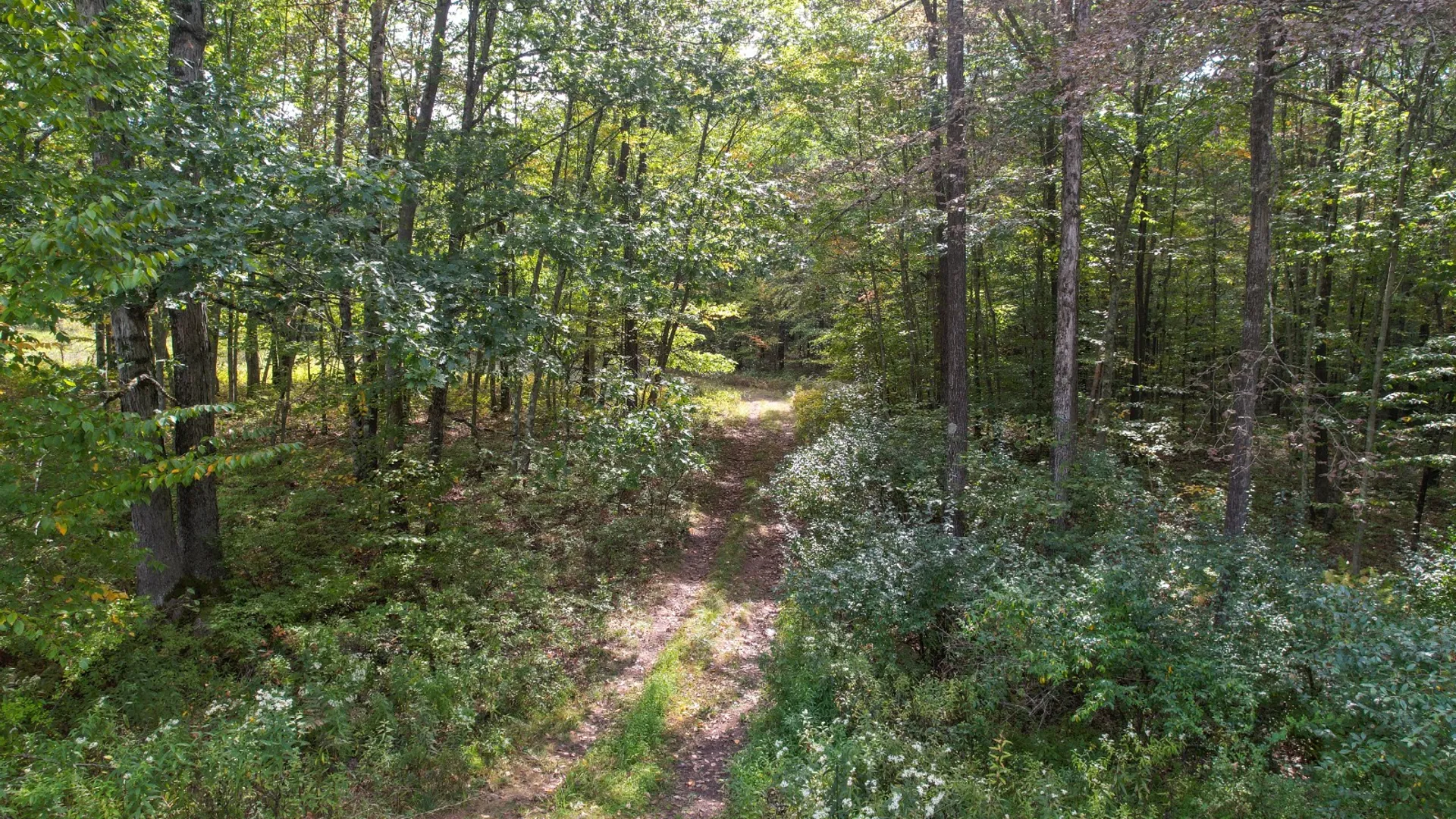Property at 0 Pvt Off Warren Rd, Hancock, NY 13783 26