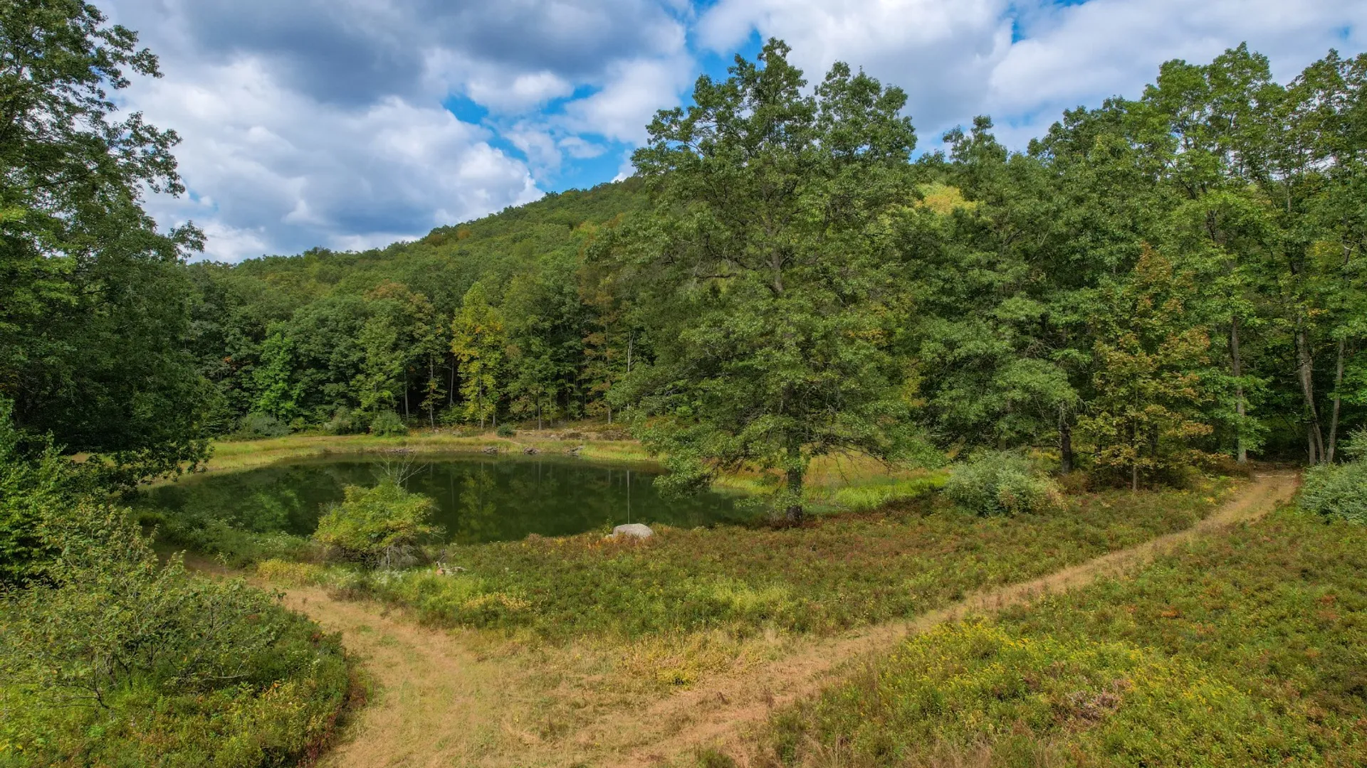 Property at 0 Pvt Off Warren Rd, Hancock, NY 13783 36