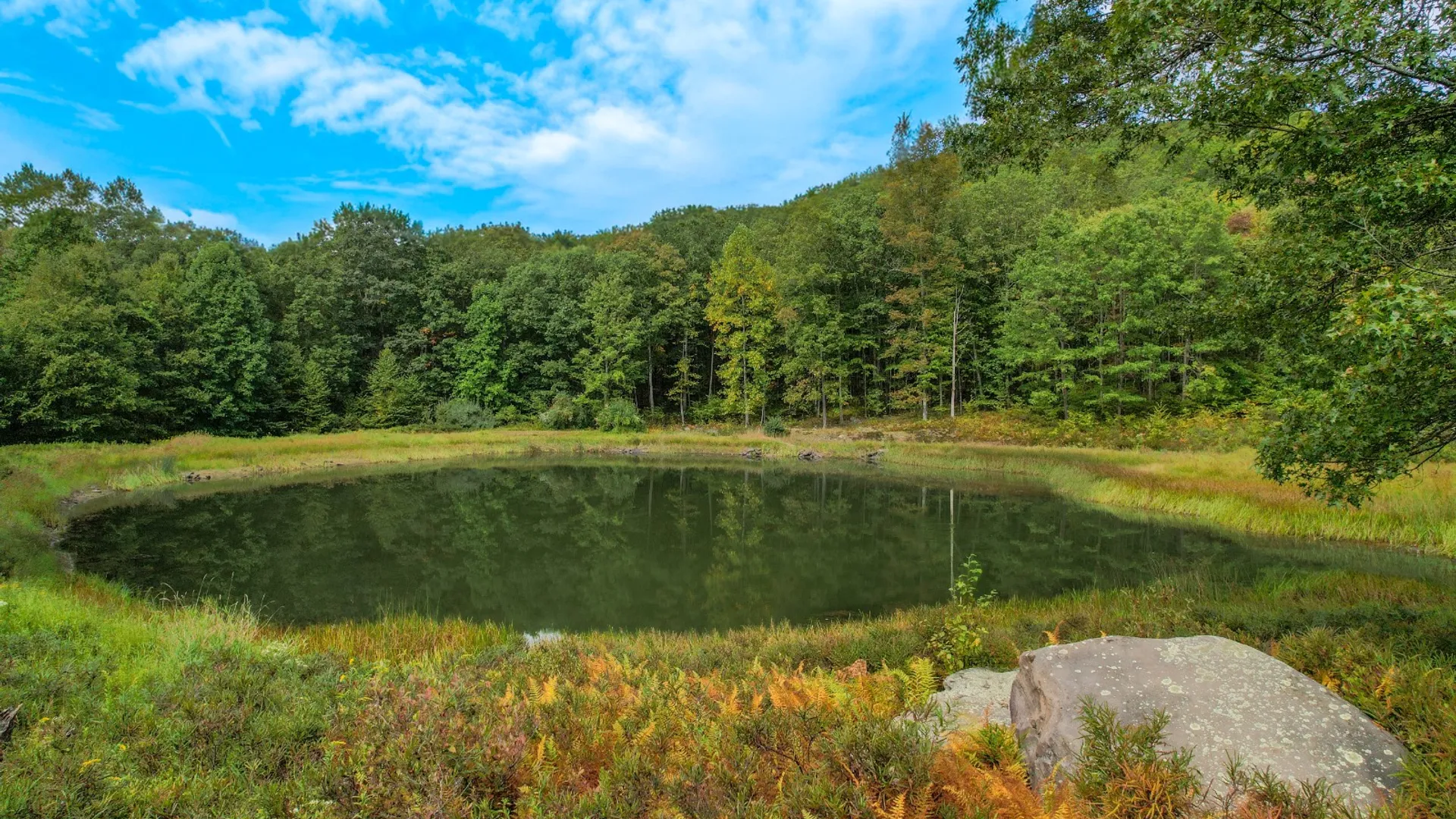 Property at 0 Pvt Off Warren Rd, Hancock, NY 13783 18
