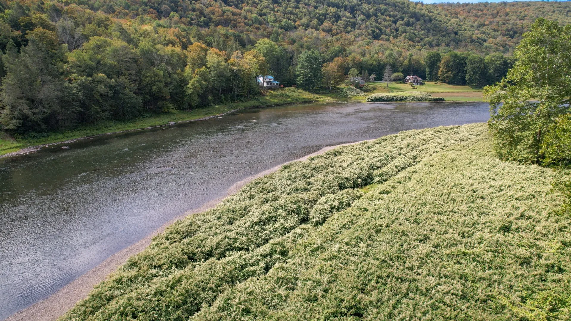 Property at 0 Pvt Off Warren Rd, Hancock, NY 13783 6