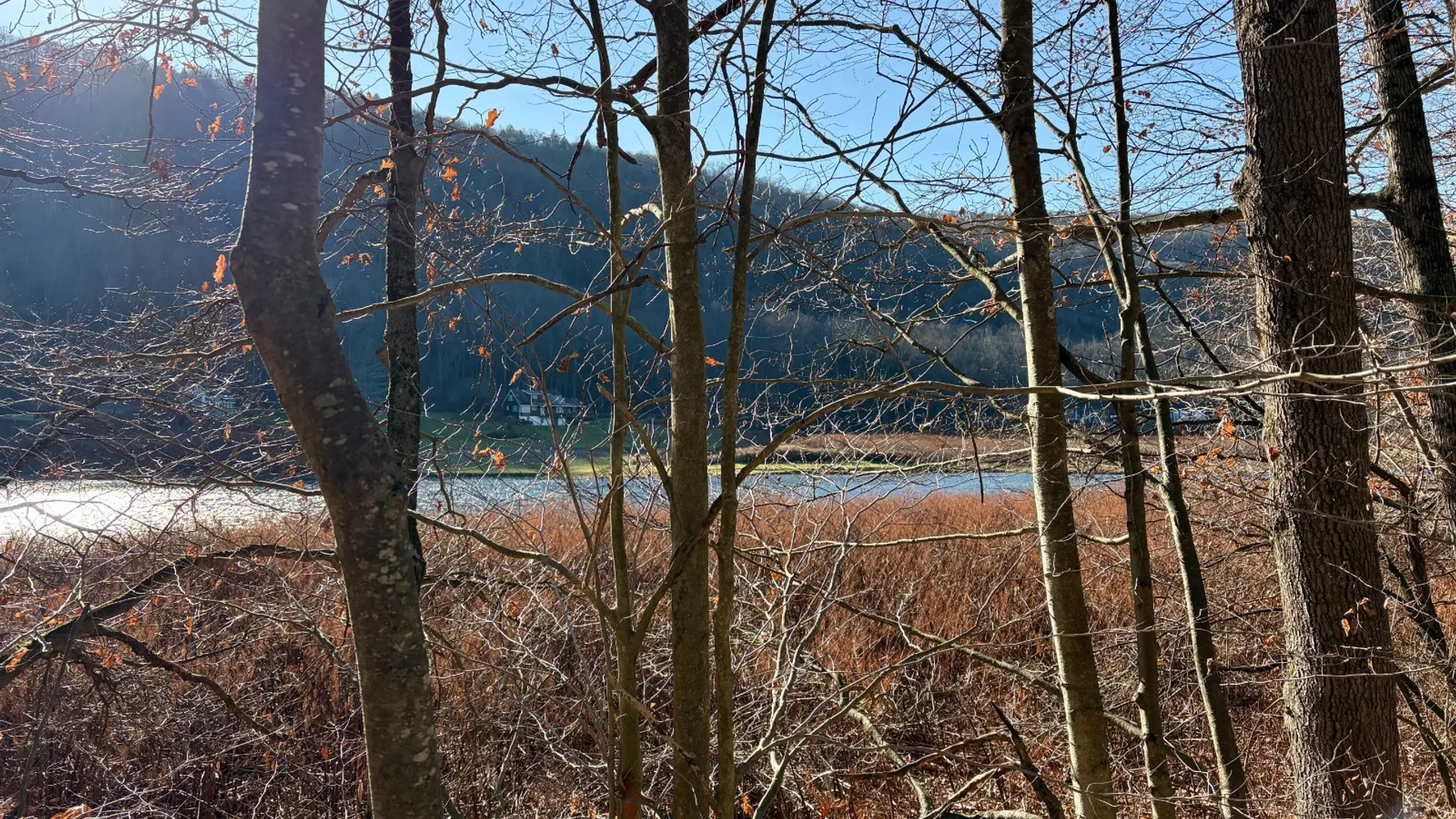 Property at 0 Pvt Off Warren Rd, Hancock, NY 13783 10