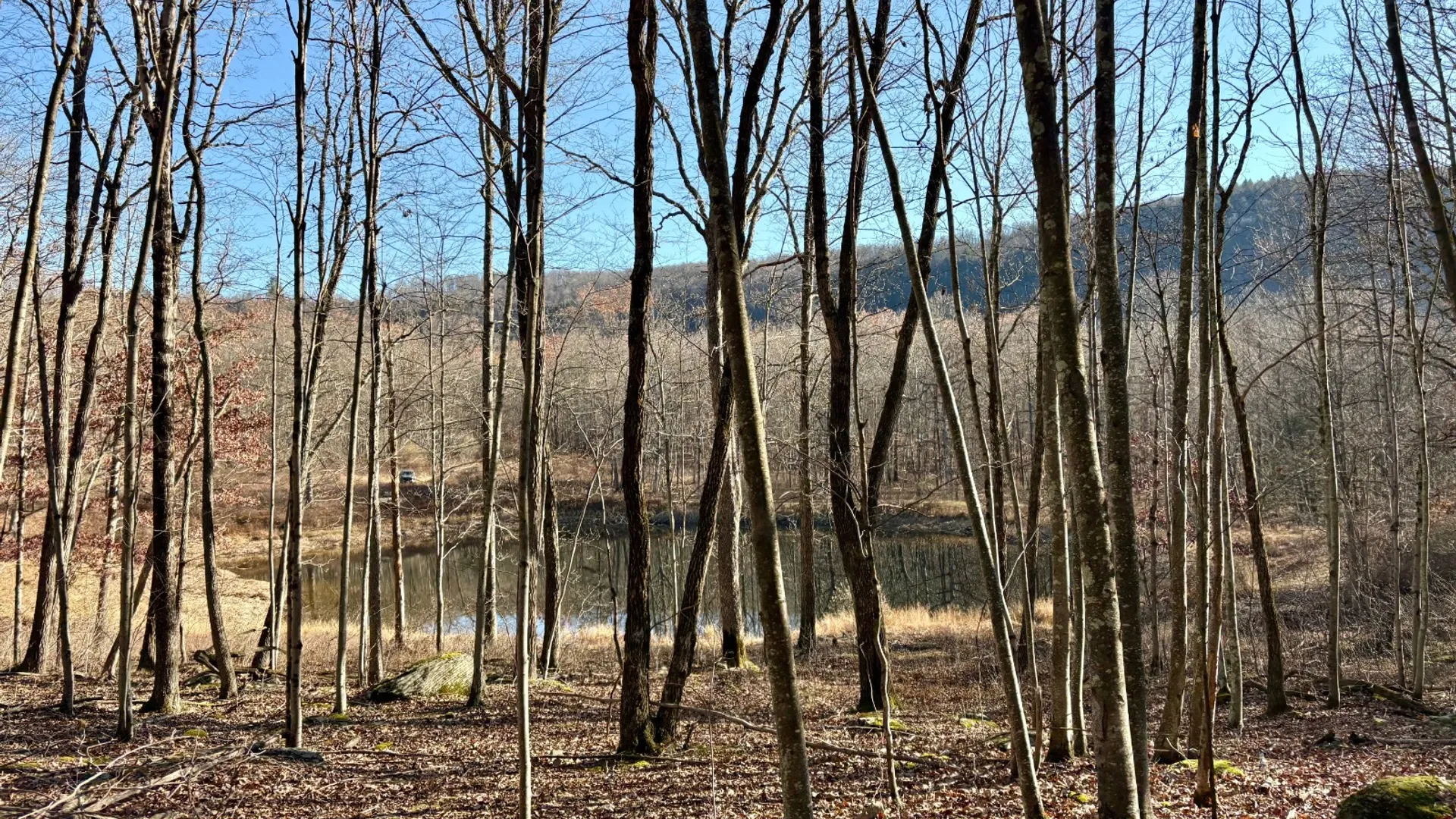 Property at 0 Pvt Off Warren Rd, Hancock, NY 13783 24