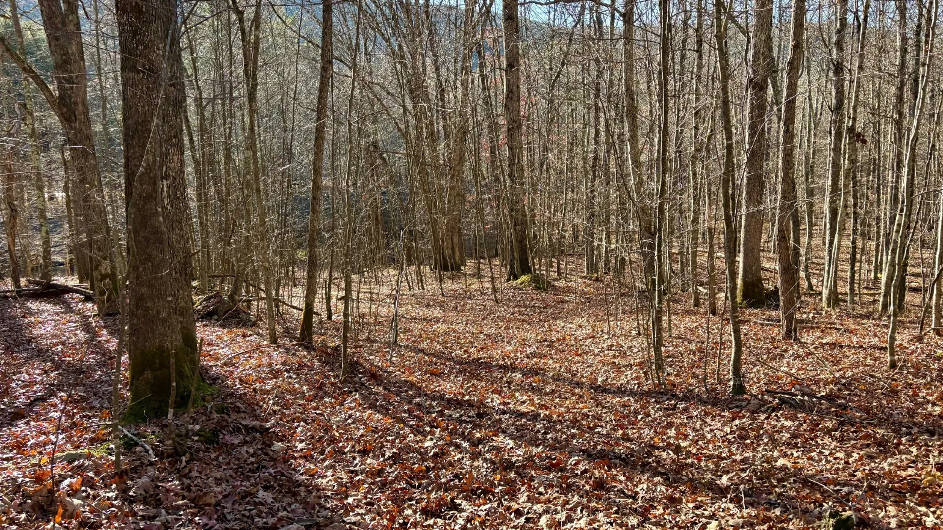 Property at 0 Pvt Off Warren Rd, Hancock, NY 13783 12