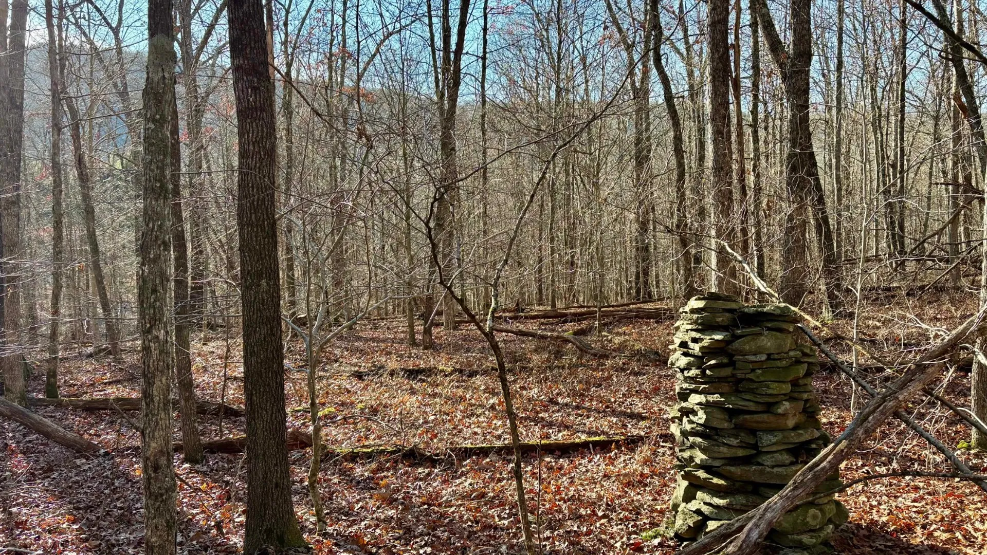 Property at 0 Pvt Off Warren Rd, Hancock, NY 13783 13