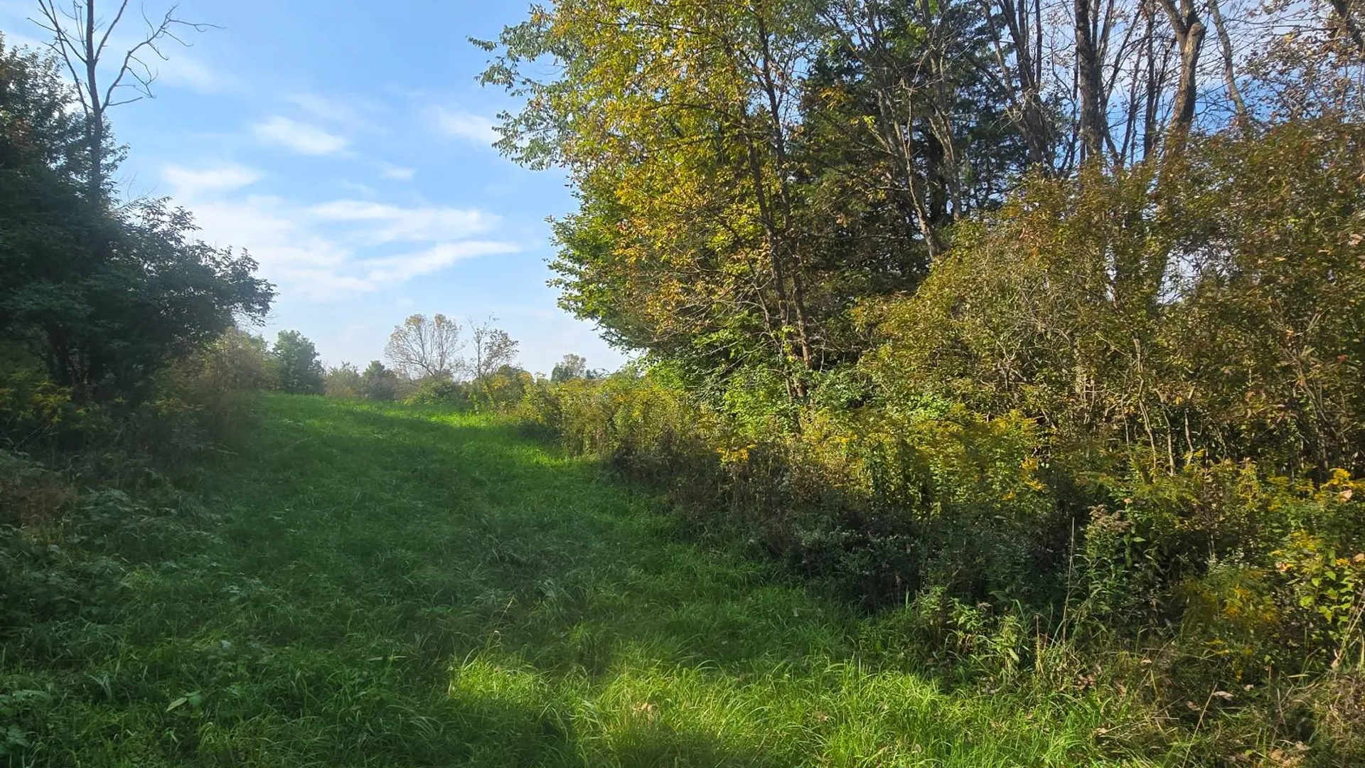 Property at 36432 County Route 22, Antwerp, NY 13608 11