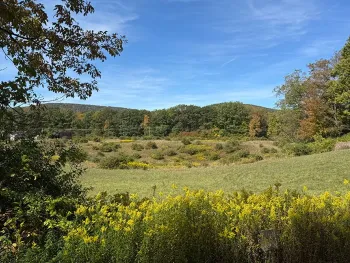 Property at L13.08 Co Hwy 35, Cooperstown, NY 13326