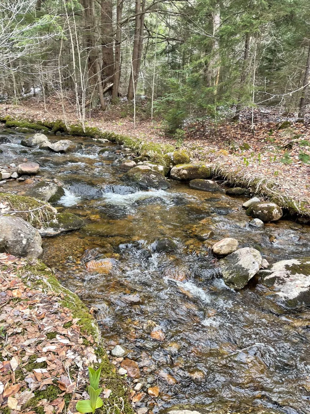 Property at 105 Red House Rd, Stratford, NY 13470