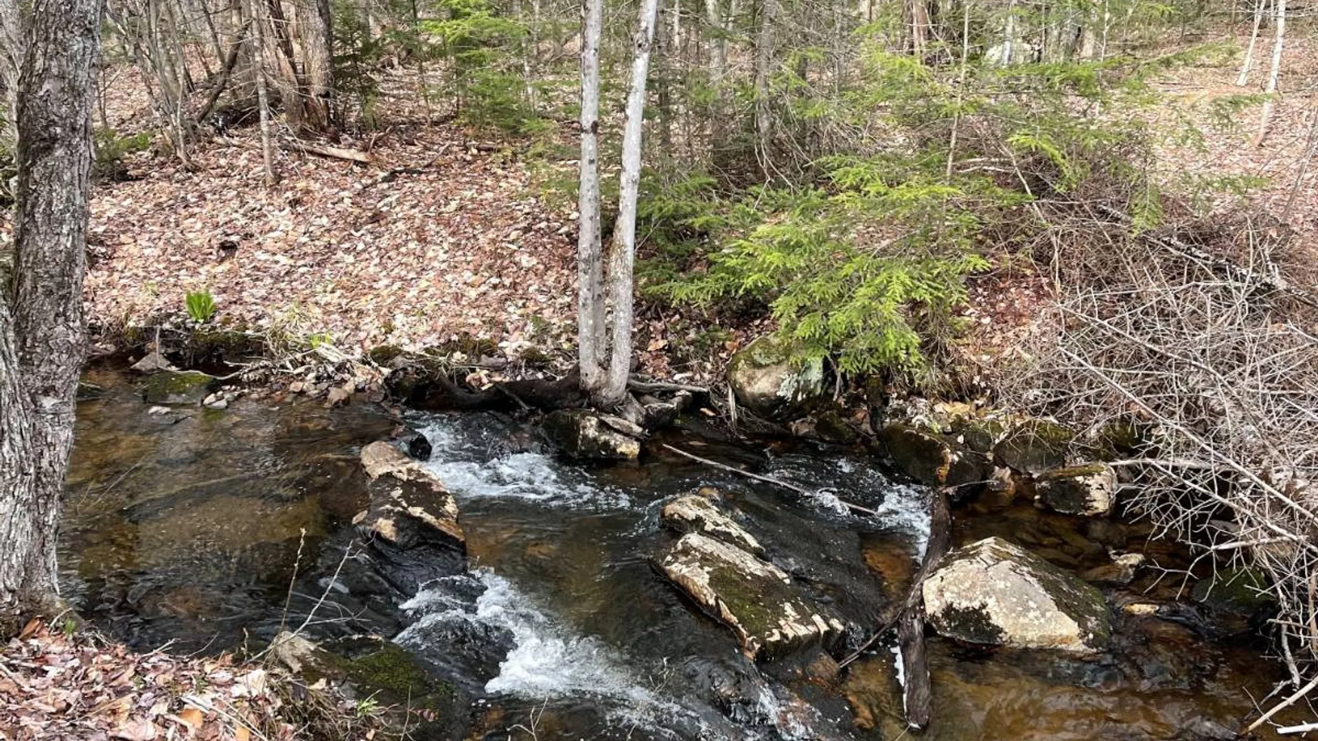 Property at 105 Red House Rd, Stratford, NY 13470 5
