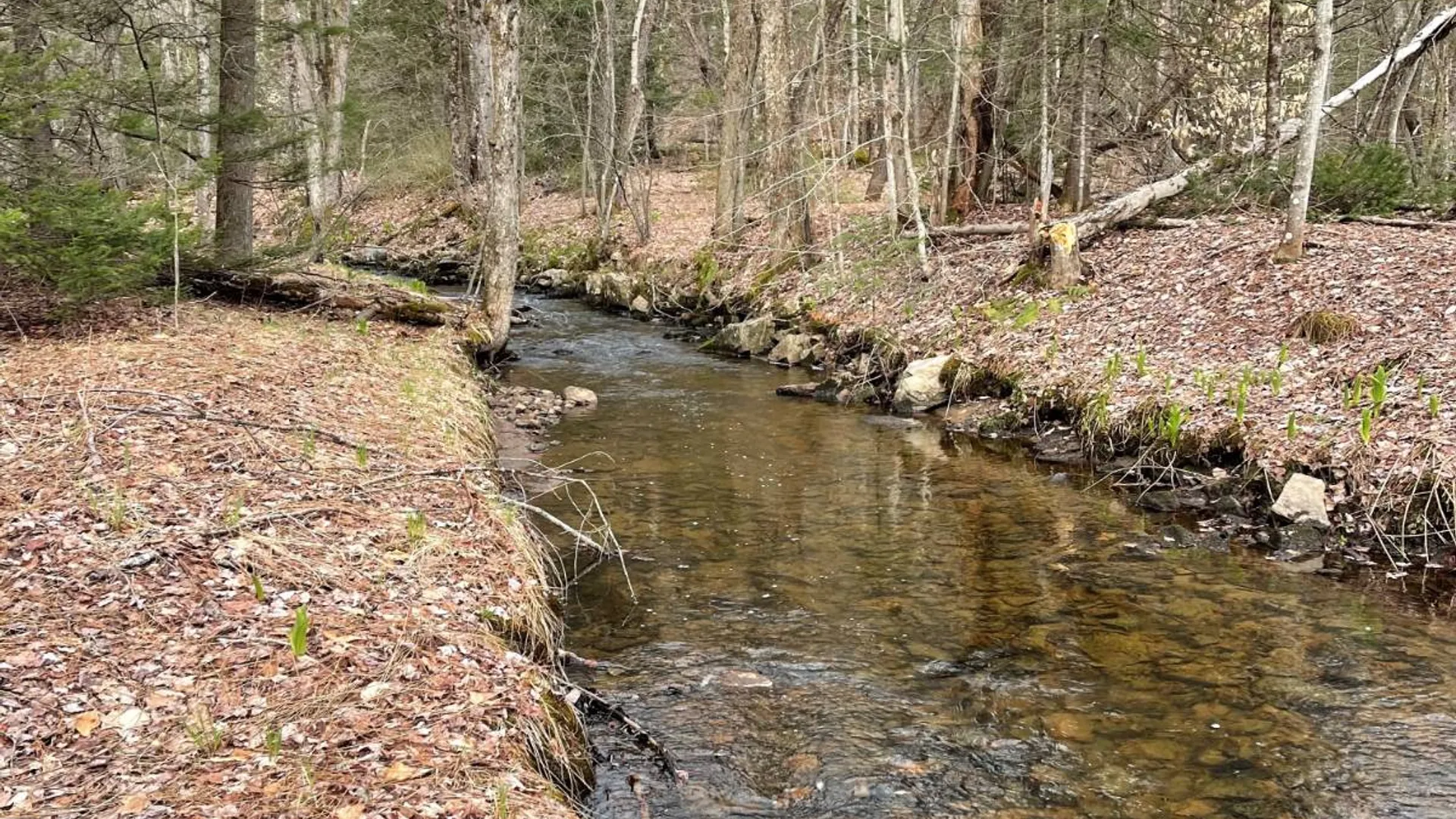Property at 105 Red House Rd, Stratford, NY 13470 6
