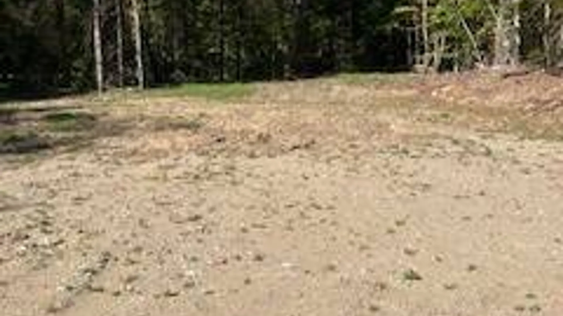 Property at 105 Red House Rd, Stratford, NY 13470 8