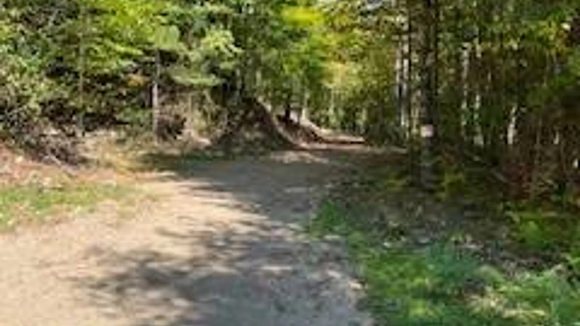 Property at 105 Red House Rd, Stratford, NY 13470 9