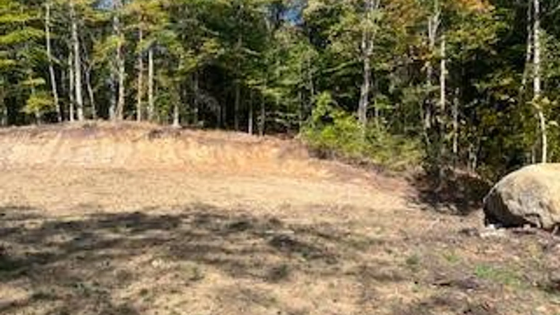 Property at 105 Red House Rd, Stratford, NY 13470 11