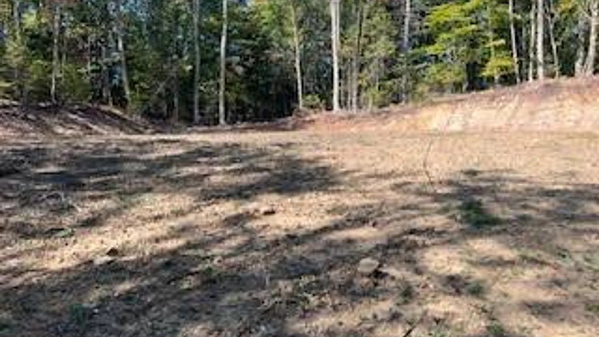 Property at 105 Red House Rd, Stratford, NY 13470 12
