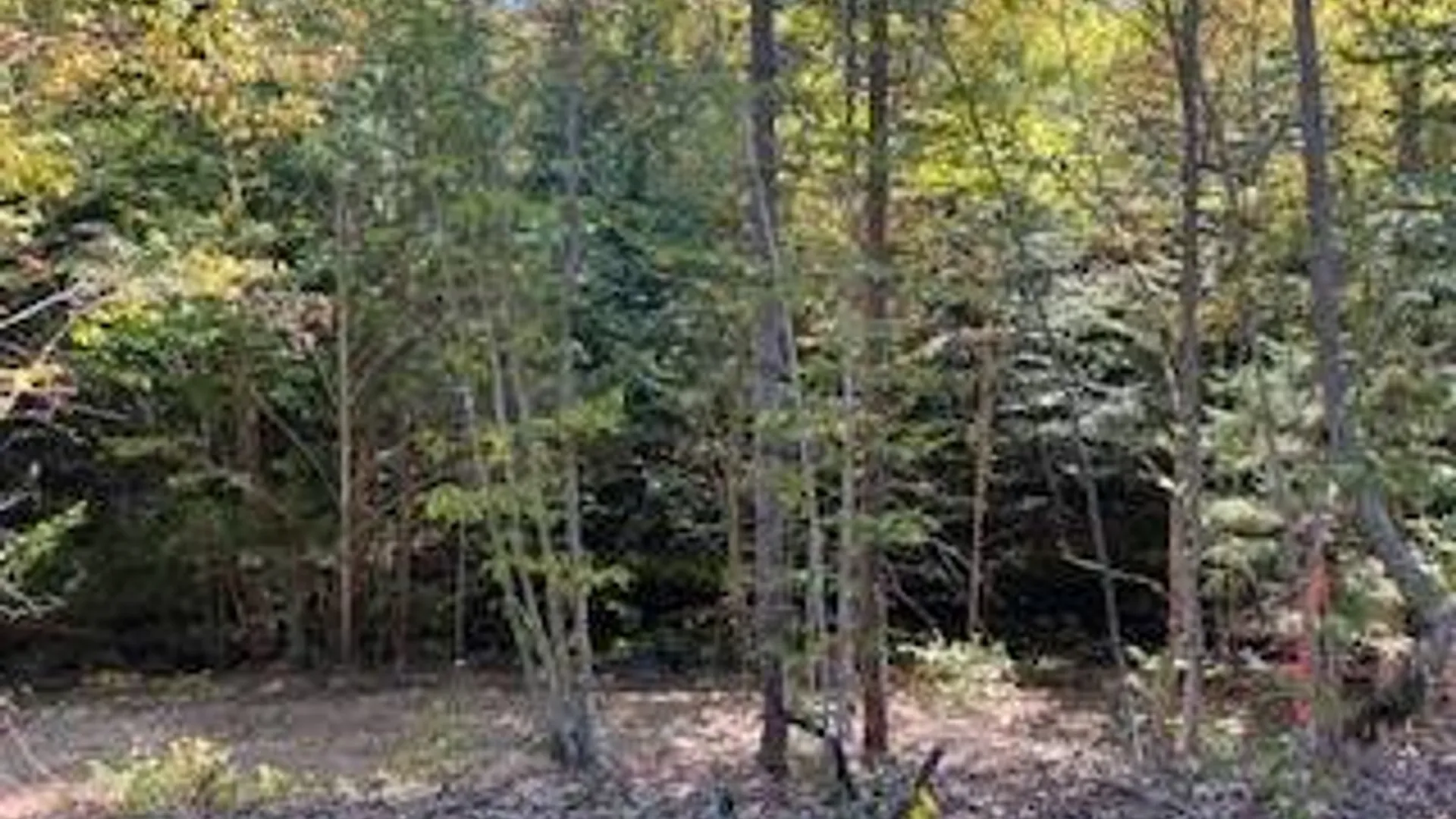 Property at 105 Red House Rd, Stratford, NY 13470 13