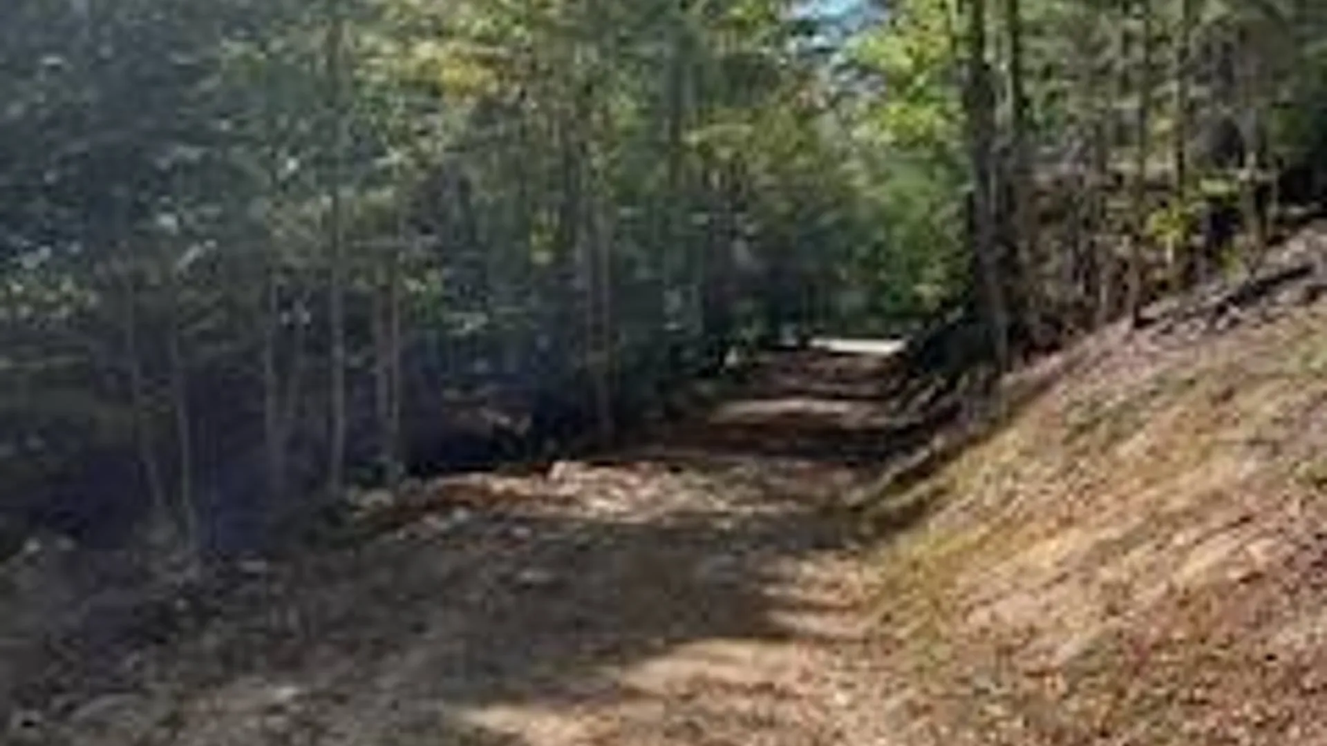 Property at 105 Red House Rd, Stratford, NY 13470 15