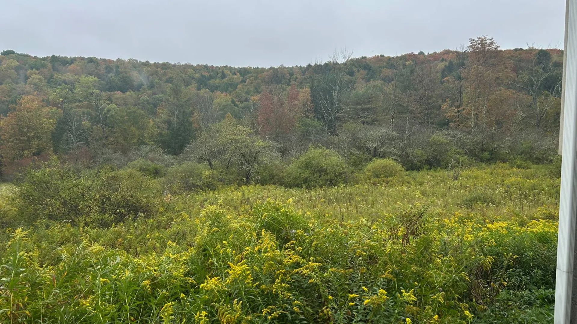 Property at 330 Indian Brook Rd, Greene, NY 13778 5
