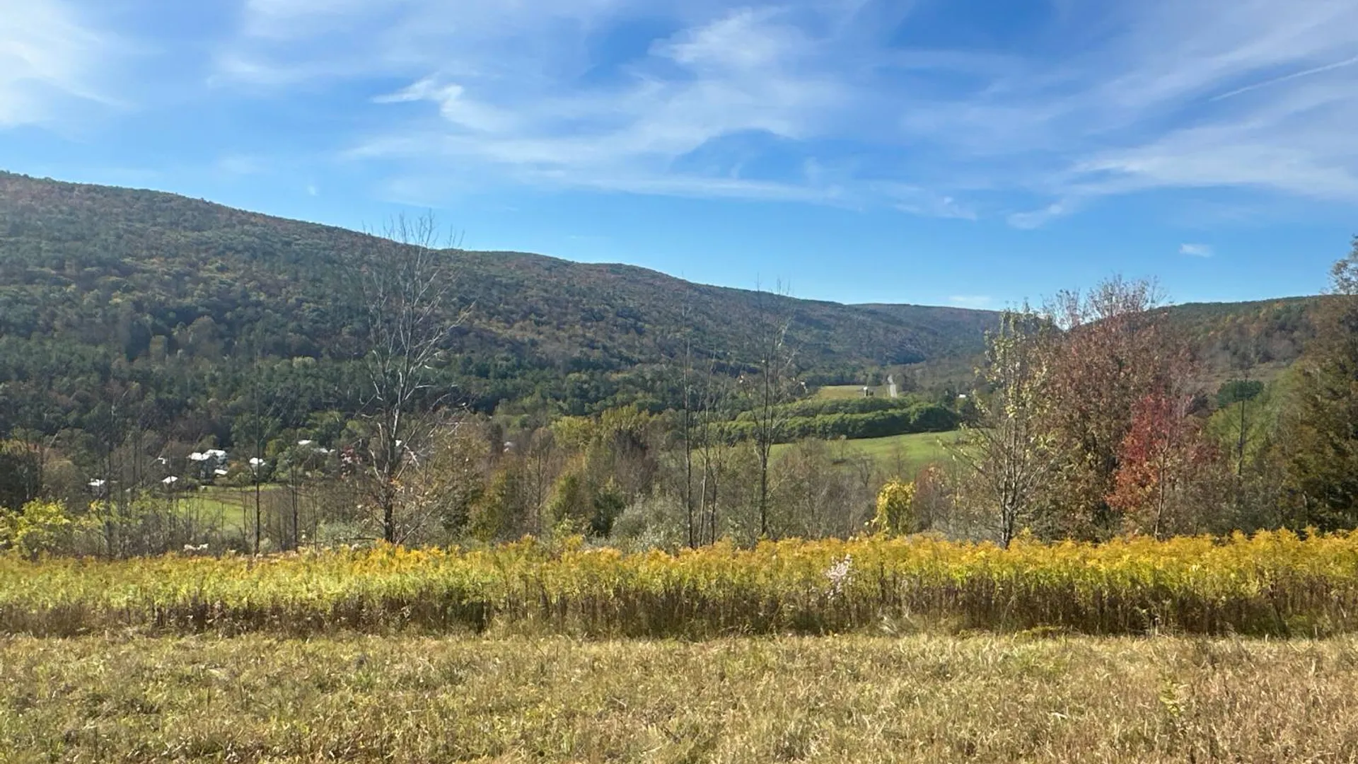 Property at 00WP Travis Hill Rd, Preston Hollow, NY 12469 19