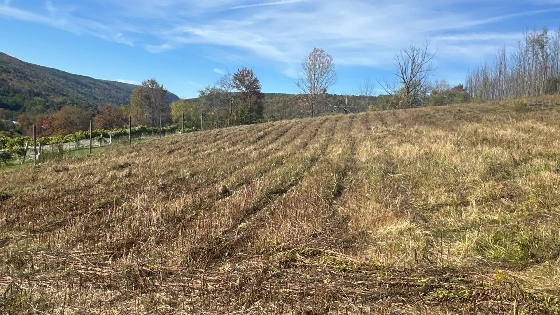 Property at 00WP Travis Hill Rd, Preston Hollow, NY 12469 20