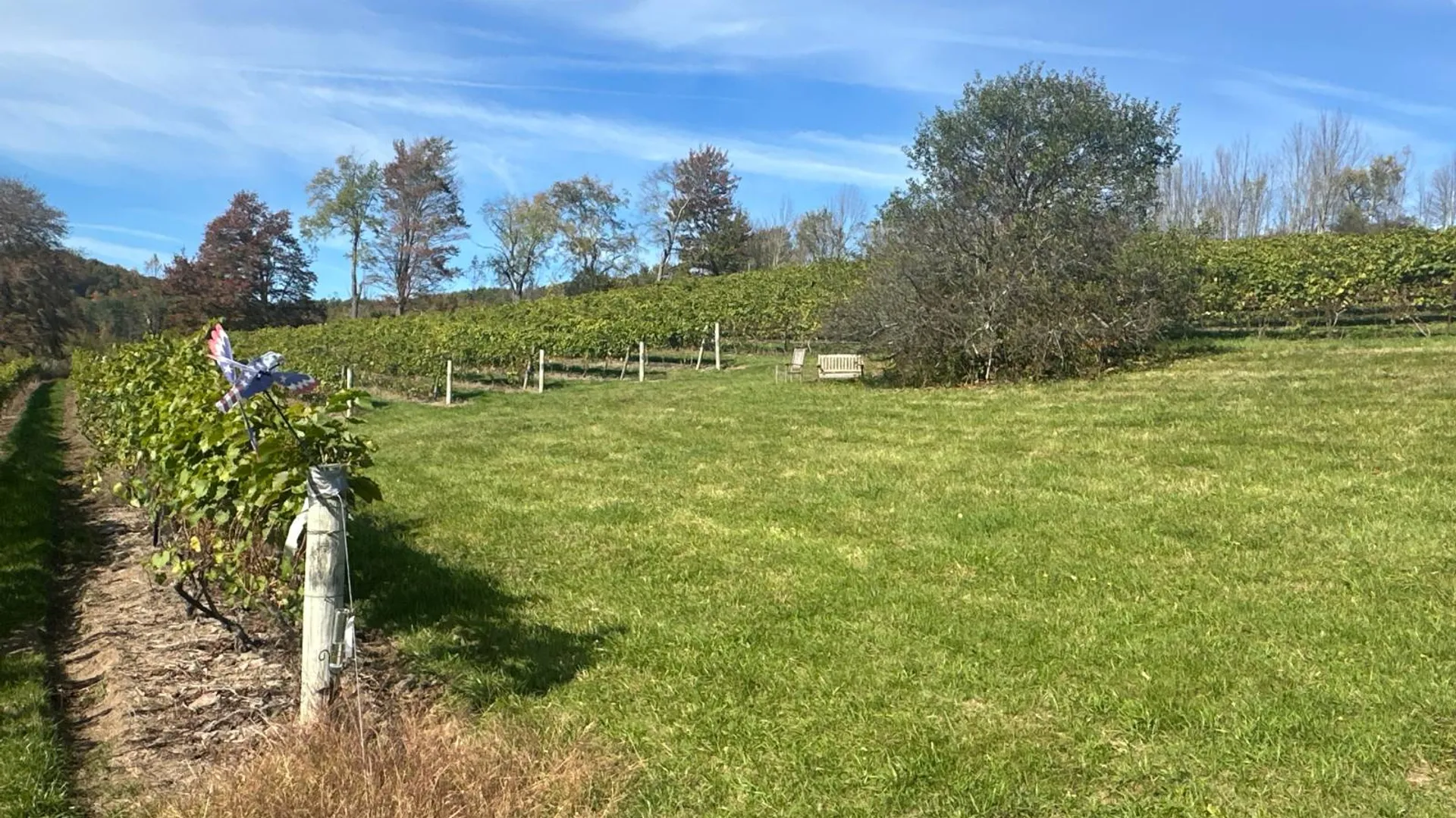 Property at 00WP Travis Hill Rd, Preston Hollow, NY 12469 24