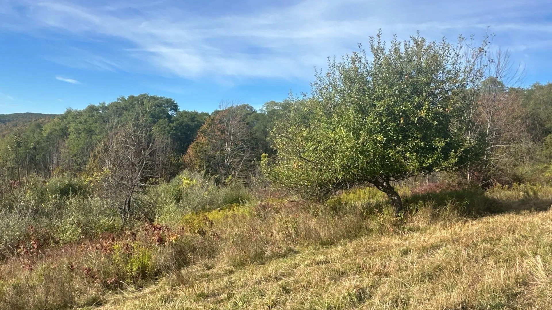 Property at 00WP Travis Hill Rd, Preston Hollow, NY 12469 25