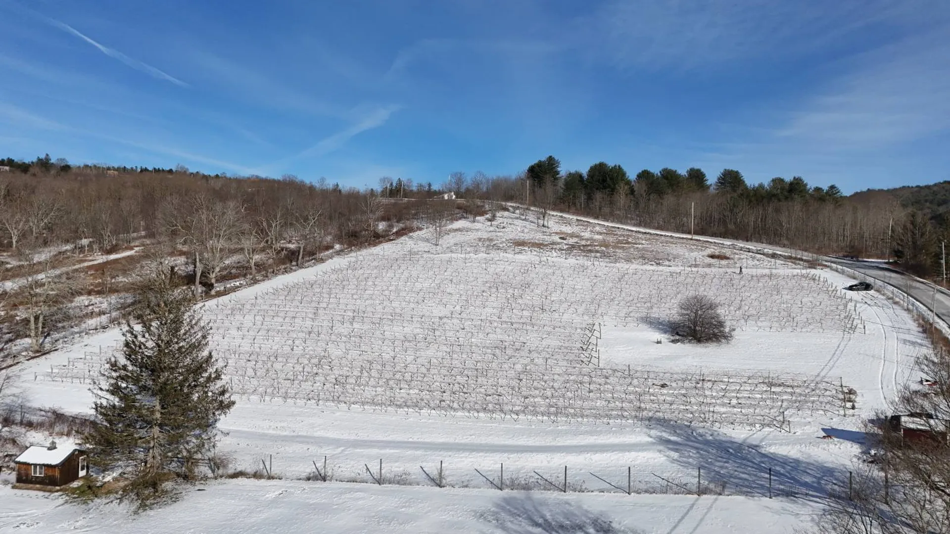 Property at 00WP Travis Hill Rd, Preston Hollow, NY 12469 16