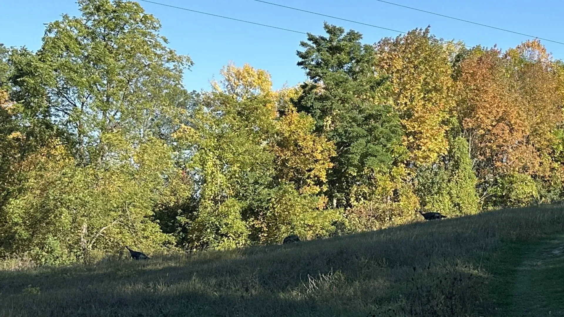 Property at 0 Main Street, Crown Point, NY 12928 8