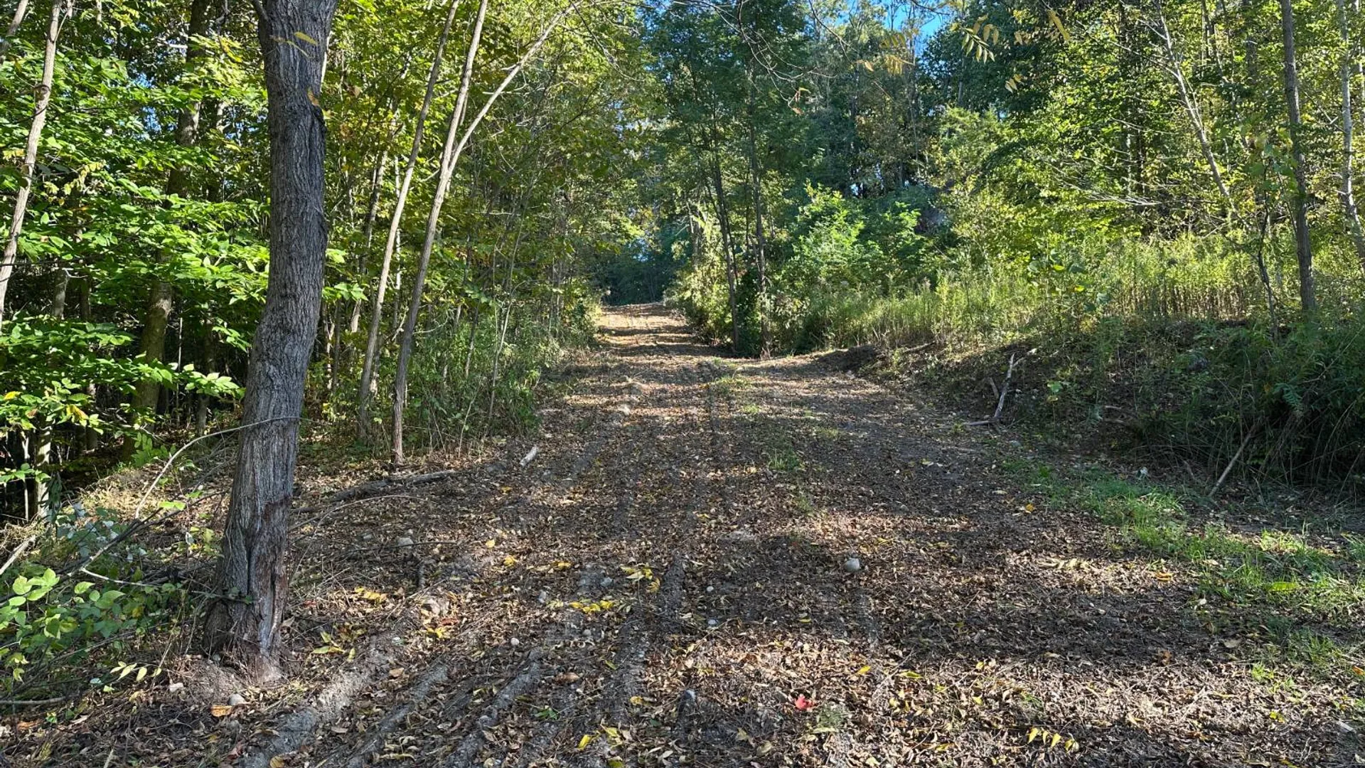 Property at 0 Main Street, Crown Point, NY 12928 22