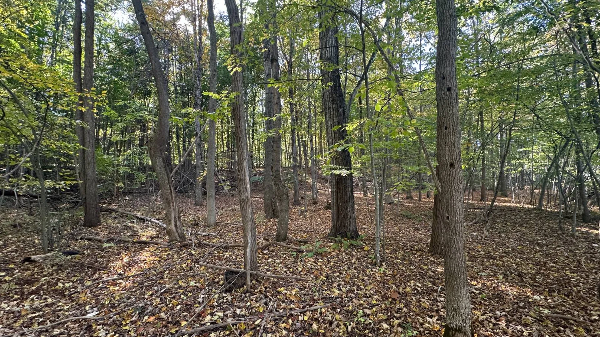 Property at 0 Main Street, Crown Point, NY 12928 25