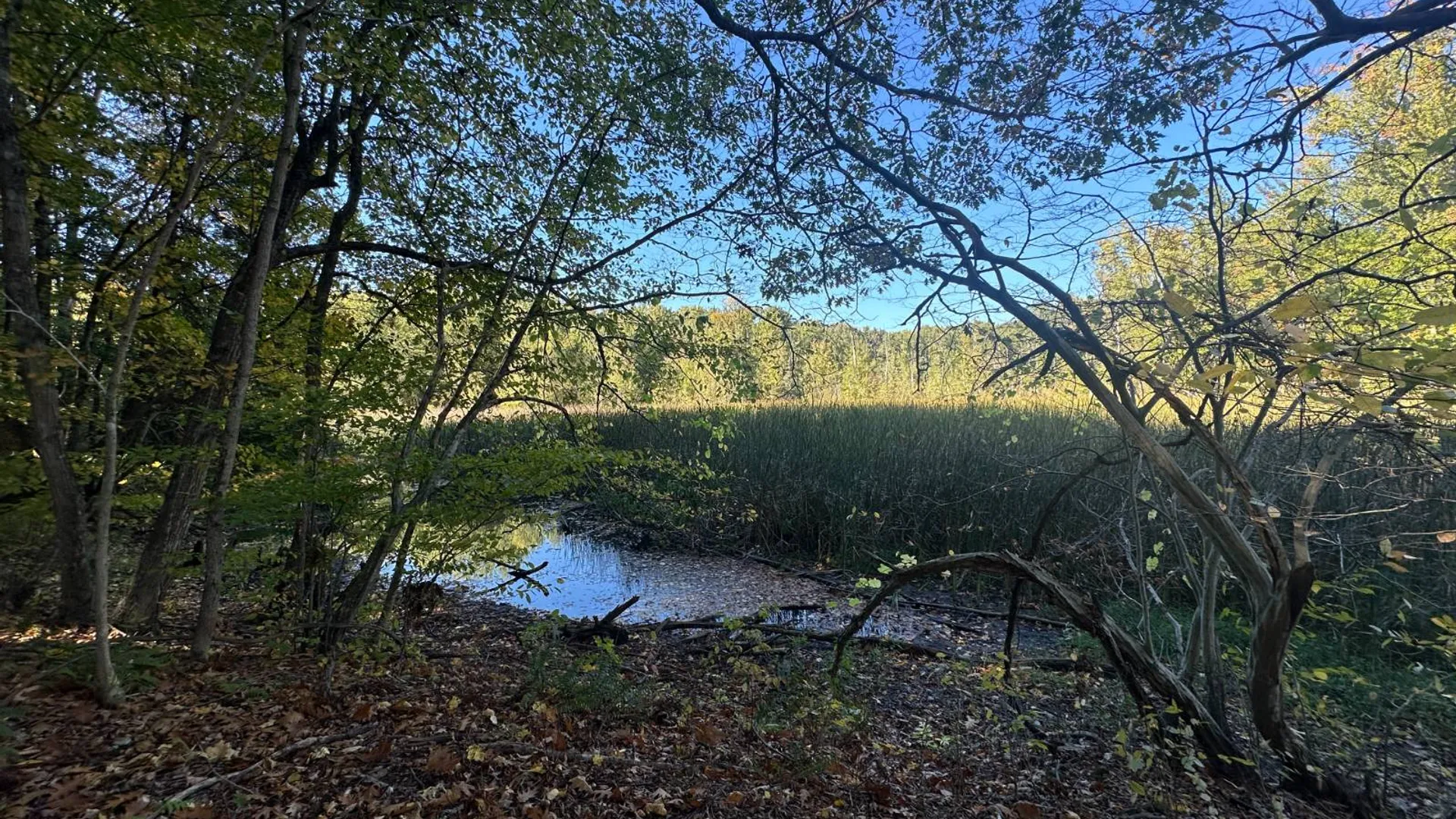 Property at 0 Main Street, Crown Point, NY 12928 26